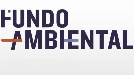 Apoio à compra de carros elétricos fora do orçamento do Fundo Ambiental 14 O apoio à compra de carros elétricos está fora do orçamento