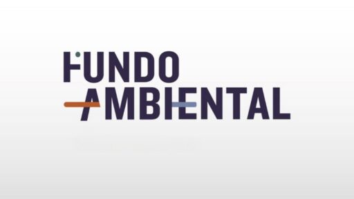 Estado apoia compra de 1.425 carros elétricos por particulares 6 Incentivo