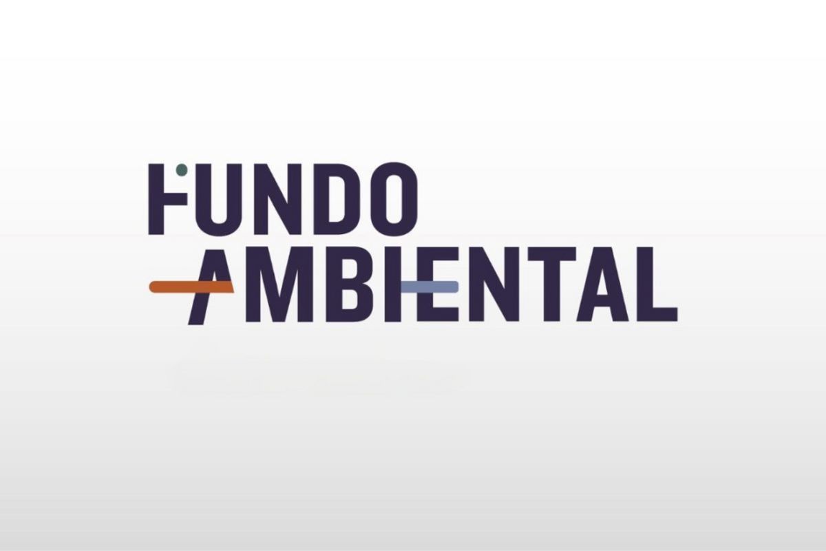 Estado apoia compra de 1.425 carros elétricos por particulares 2 Incentivo