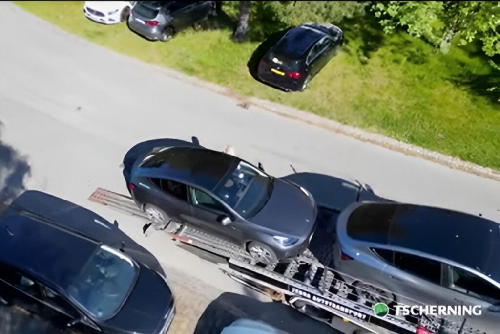 Empresa desfaz-se de frota Tesla por causa de Elon Musk 3 Elon Musk