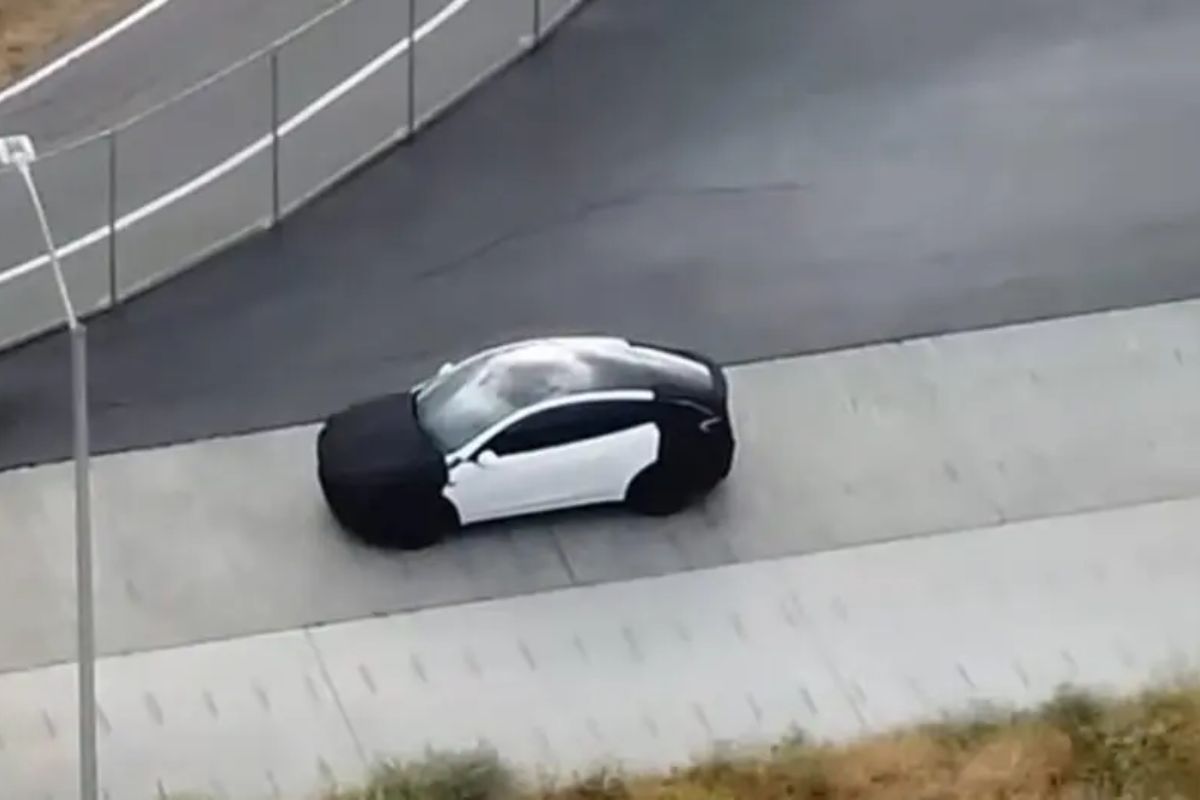 Protótipo da Tesla apanhado na câmara é o Model Y mais barato? 2 Protótipo