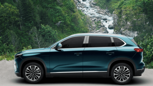 Togg e Firefly conquistam 5 estrelas EuroNCAP à primeira 6 5 estrelas Togg