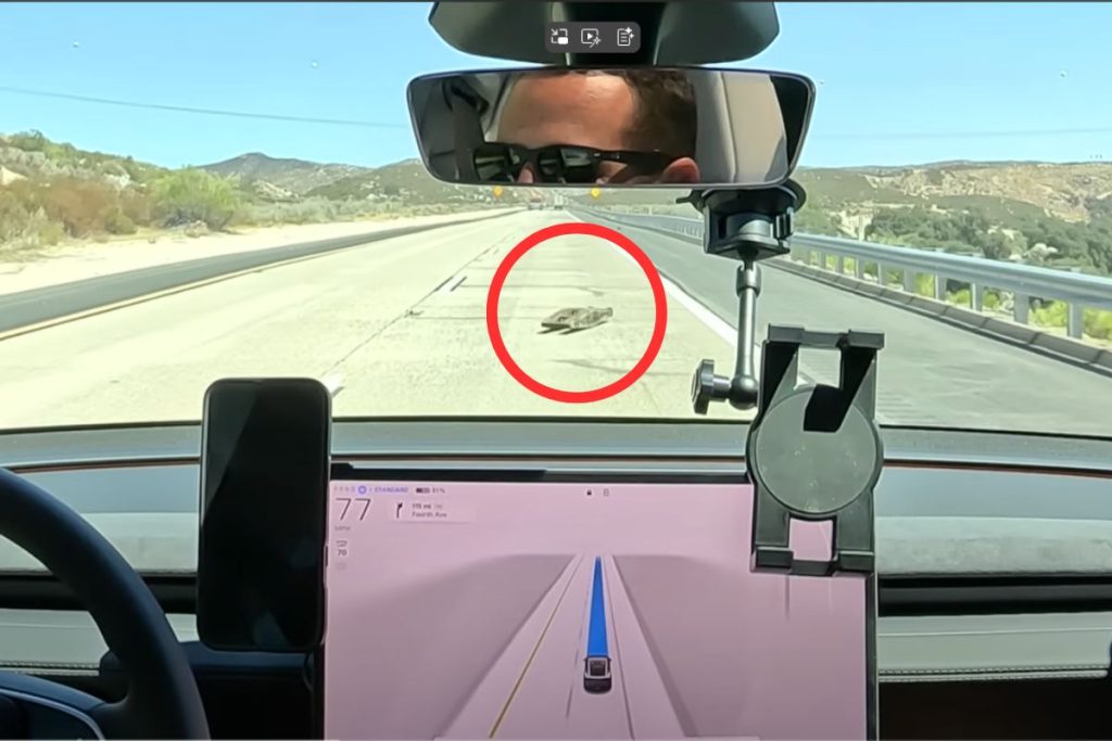 BYD quer fabricar baterias na Europa para acompanhar produção 5 Tesla Autopilot, Model Y, Tesla Model Y