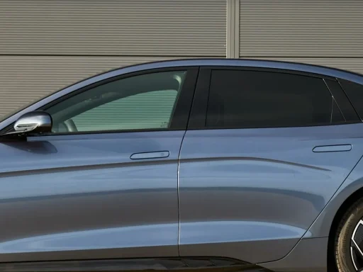 China dita o fim dos puxadores embutidos elétricos 3 puxadores embutidos