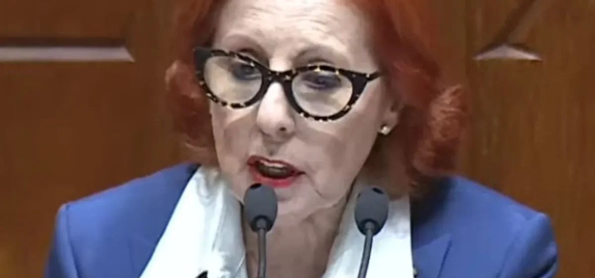 Maria da Graça Carvalho anunciou o apoio à compra de carros elétricos por famílias carenciadas ao intervir no debate do Orçamento de Estado