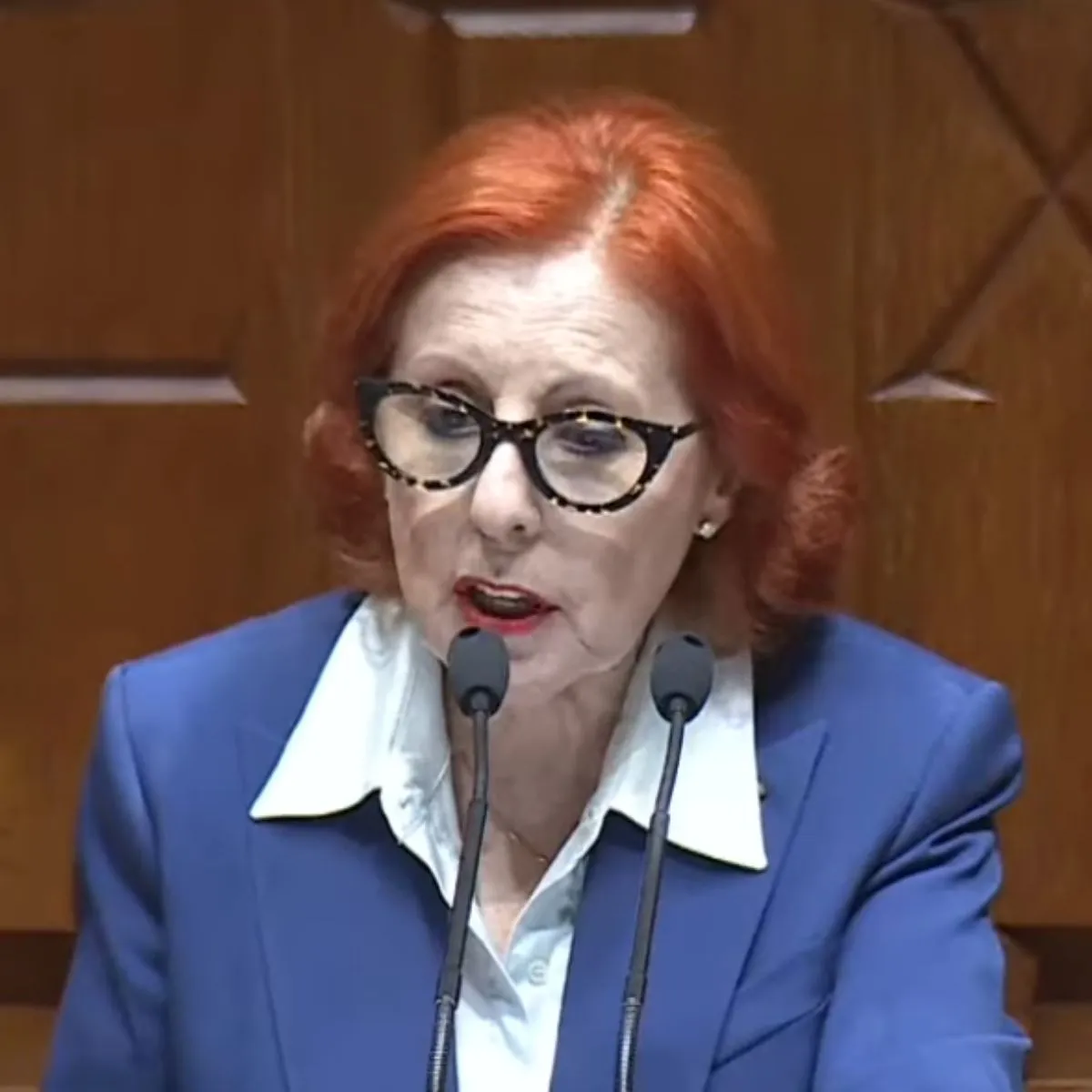 Carros elétricos: Estado vai pagar até 80% a famílias carenciadas 2 Maria da Graça Carvalho anunciou o apoio à compra de carros elétricos por famílias carenciadas ao intervir no debate do Orçamento de Estado
